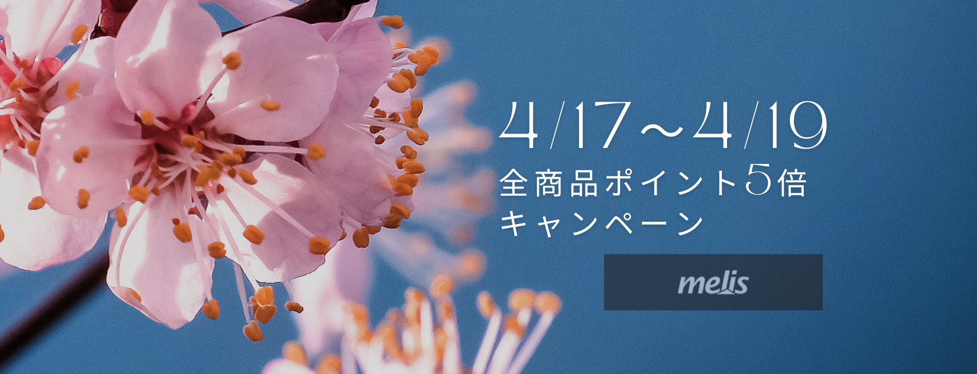 417～419 全商品ポイント5倍 キャンペーン.png